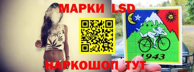 крисы Гатчина