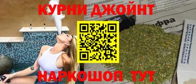 крисы Гатчина