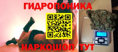 кокс Гай