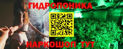 крисы Гатчина